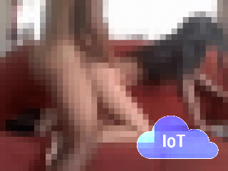 Iot